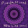 New Life (Remix)