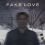 Fake Love