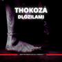 Thokoza Dlozilami (feat. Mreiks T)