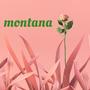 Montana (feat. Asher myhrry)