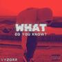 What Do You Know? (feat. Moxie.net & C.J.S) [Explicit]