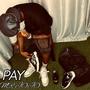 PAY (Explicit)