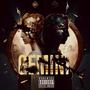 Gemini (Explicit)