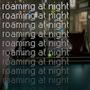 roaming at night (feat. lydon) [2024 re-mix]