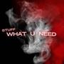 STUFF (WHAT U NEED) [Explicit]