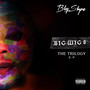 BIGWIG 3 (Explicit)