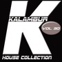 Kalambur House Collection, Vol. 30 (Explicit)