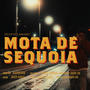 MOTA DE SEQUOIA