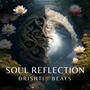 Soul Reflection