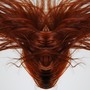 A Collection Of Hair
