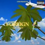 Foreign (Explicit)