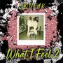 What I Feel 2 (Explicit)