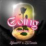 Going Insane (feat. ZoTuxedo) [Explicit]