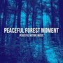 Peaceful Forest Moment