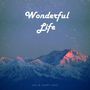 Wonderful Life (Explicit)