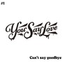 Cant’ say goodbye