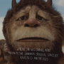 Where The Wild Things Are Motion Picture Soundtrack:  Original Songs By Karen O And The Kids