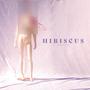 Hibiscus (Explicit)