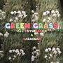 green grass (feat. Sarabean) [Explicit]