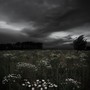 Synthetic Lament