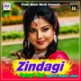 Zindagi Parayi Hai