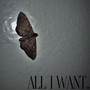 All I Want (Explicit)