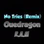 No Tries (feat. R.A.M) [Remix] [Explicit]