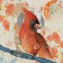 Cardinal