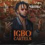 IGBO CARTELS (Explicit)