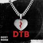 DTB (feat. Ronie) [Explicit]