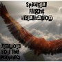 Spiritual Flight Visualization