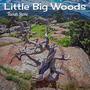 Little Big Woods