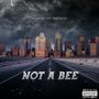 NOT A BEE (feat. 3babytazzie) [Explicit]