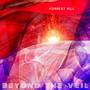 Beyond The Veil