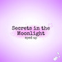 Secrets in the Moonlight (Sped Up)