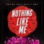 Nothing Like Me