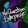 No Question Enterprise: Diizii Collection (Explicit)