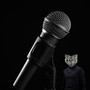 voiceless