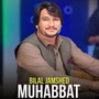 Muhabbat