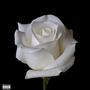 White Rose (Explicit)