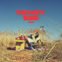 The Party Song