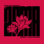 Zama