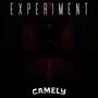 experiment (Explicit)