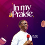 In My Praise