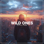 Wild Ones (Extended Mix)