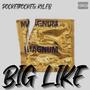 Big Like (Throwbacc Thursday) (feat. Kyleb) [Explicit]