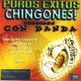 Puros Exitos Chingones! - Corridos Con Banda