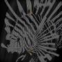 Lionfish