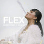 FLEX (Explicit)