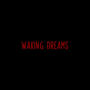 Waking Dreams (Original Soundtrack)